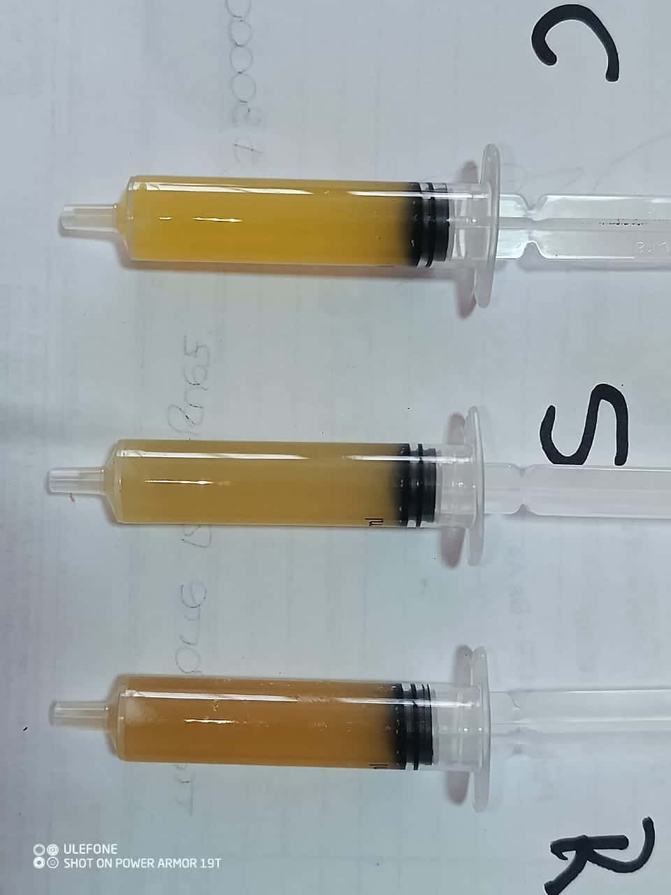Tres jeringas con extracto de algas de distinta concentración usadas para inocular la papa