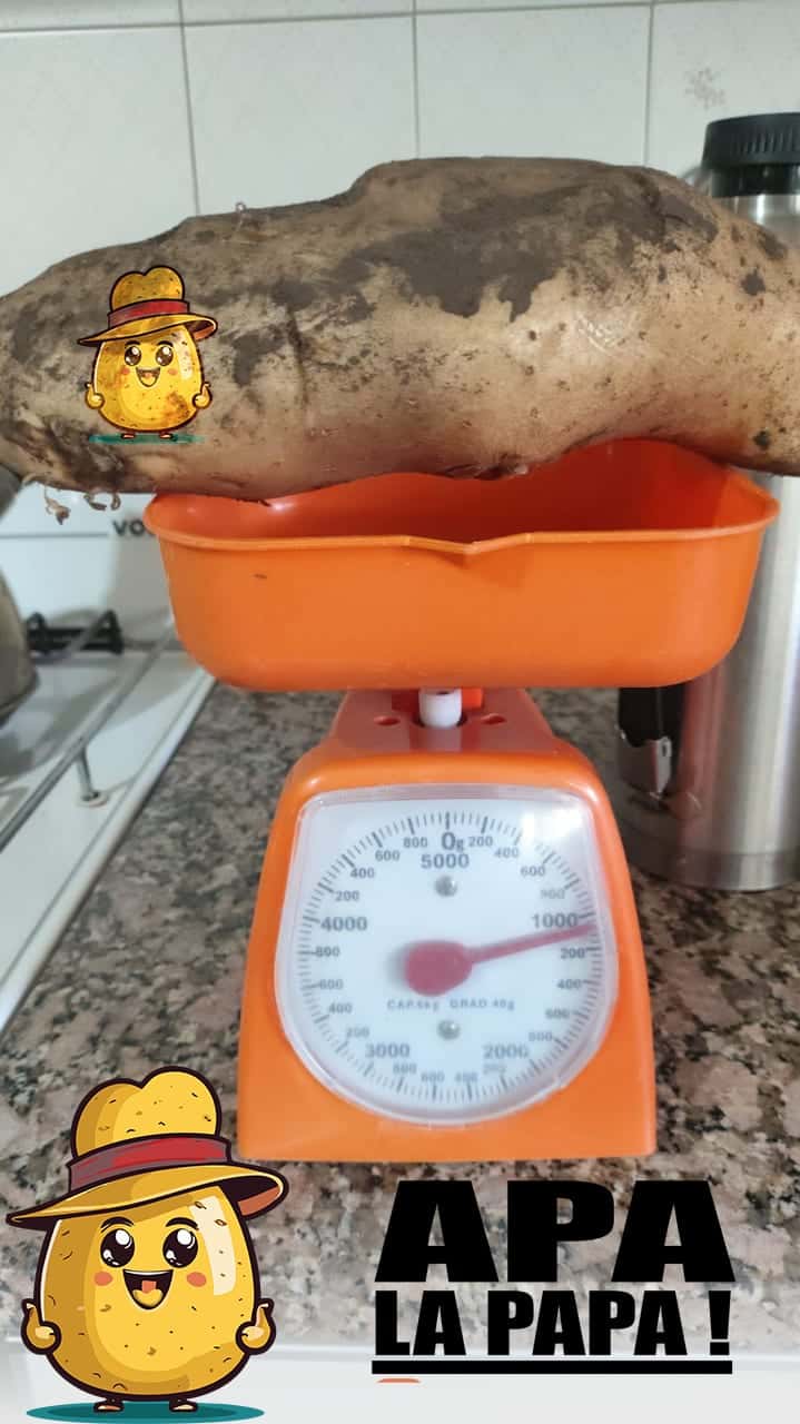 Una papa gigante sobre una balanza marcando un kilo, con la mascota de Apa la Papa