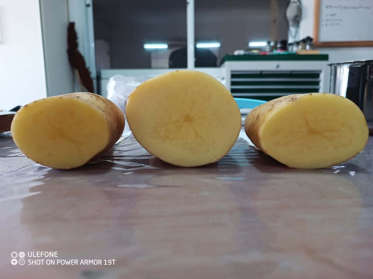 Papas Spunta cortadas al medio mostrando la pulpa amarillo manteca