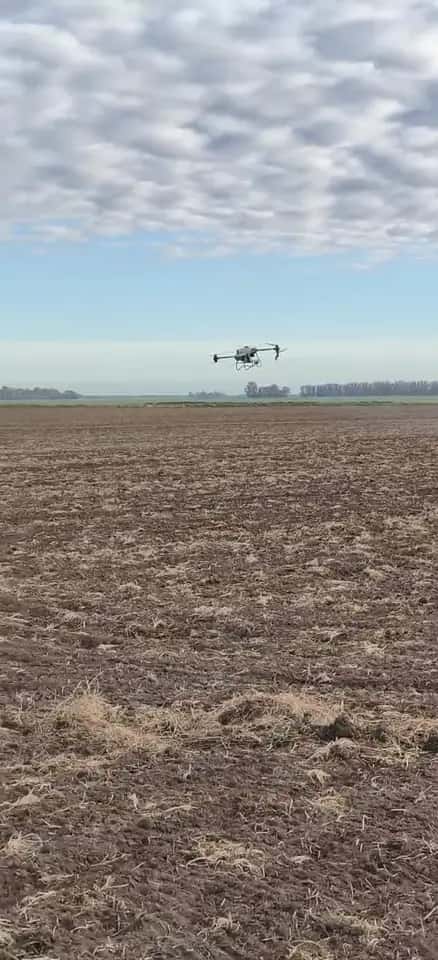Drone agrícola volando bajo sobre el lote, con cielo nublado